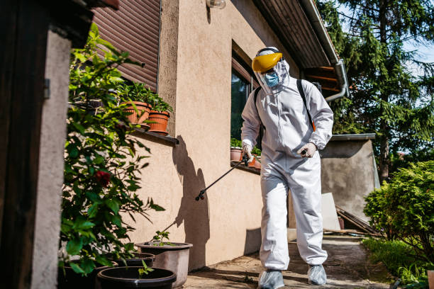 Best Wildlife Control Services  in Louisvle, IL