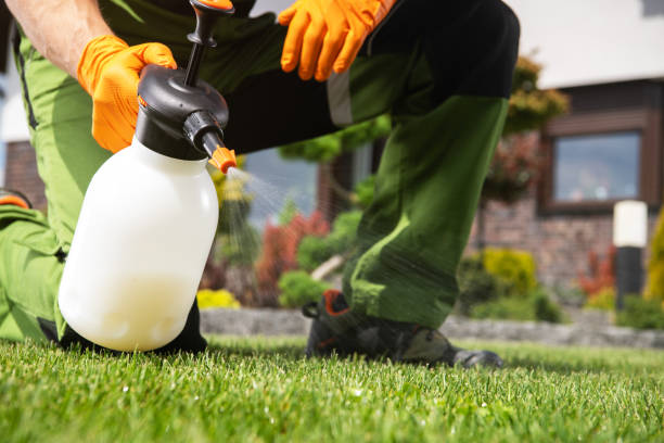 Best Residential Pest Control  in Louisvle, IL