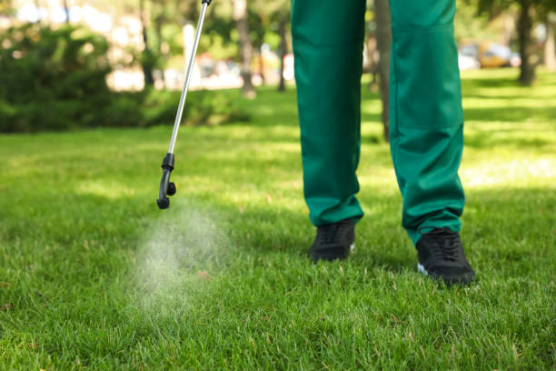 Trusted Louisville, IL Pest Control Experts