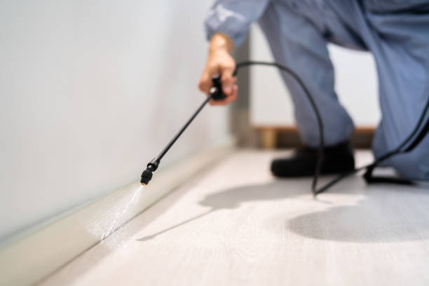 Best Commercial Pest Control Services  in Louisvle, IL