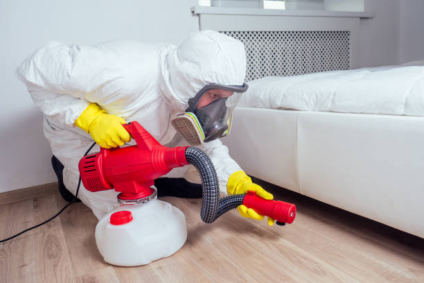 Best Local Pest Control Services  in Louisvle, IL