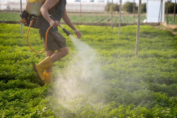 Best Mosquito Control Services  in Louisvle, IL