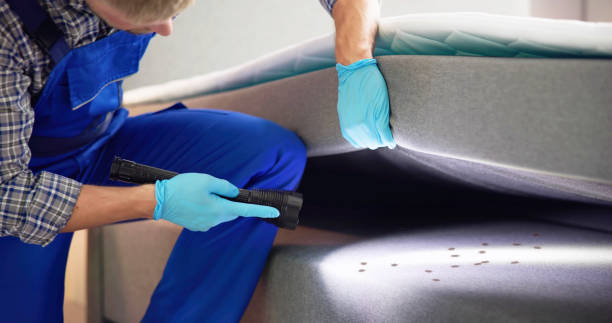 Best Best Pest Control Companies  in Louisvle, IL