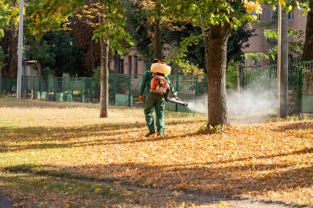 Best Emergency Pest Control  in Louisvle, IL